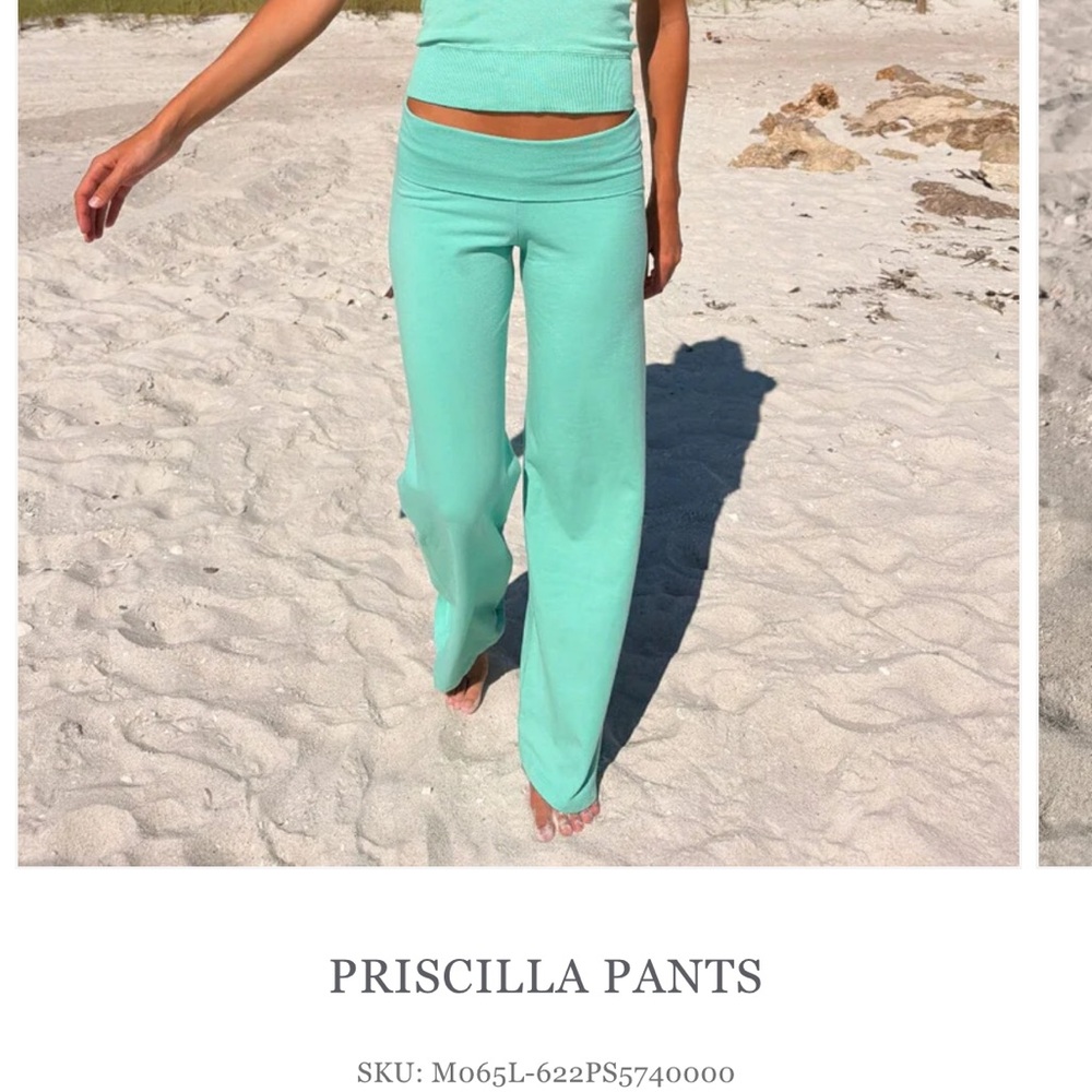 BRANDY MELVILLE PRISCILLA PANTS - Picture 7 of 7